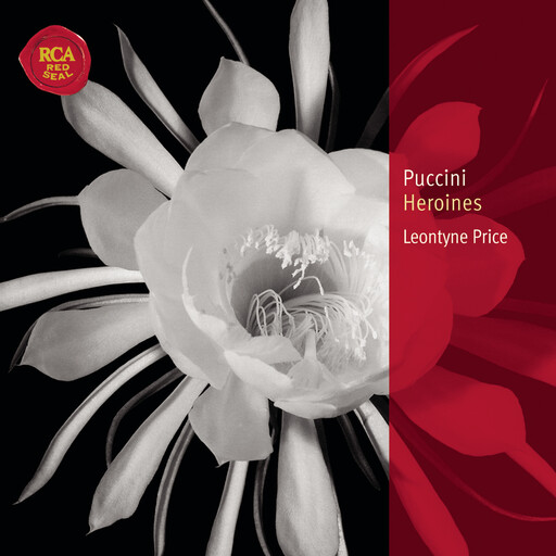 防火墙高端小鲤导航
